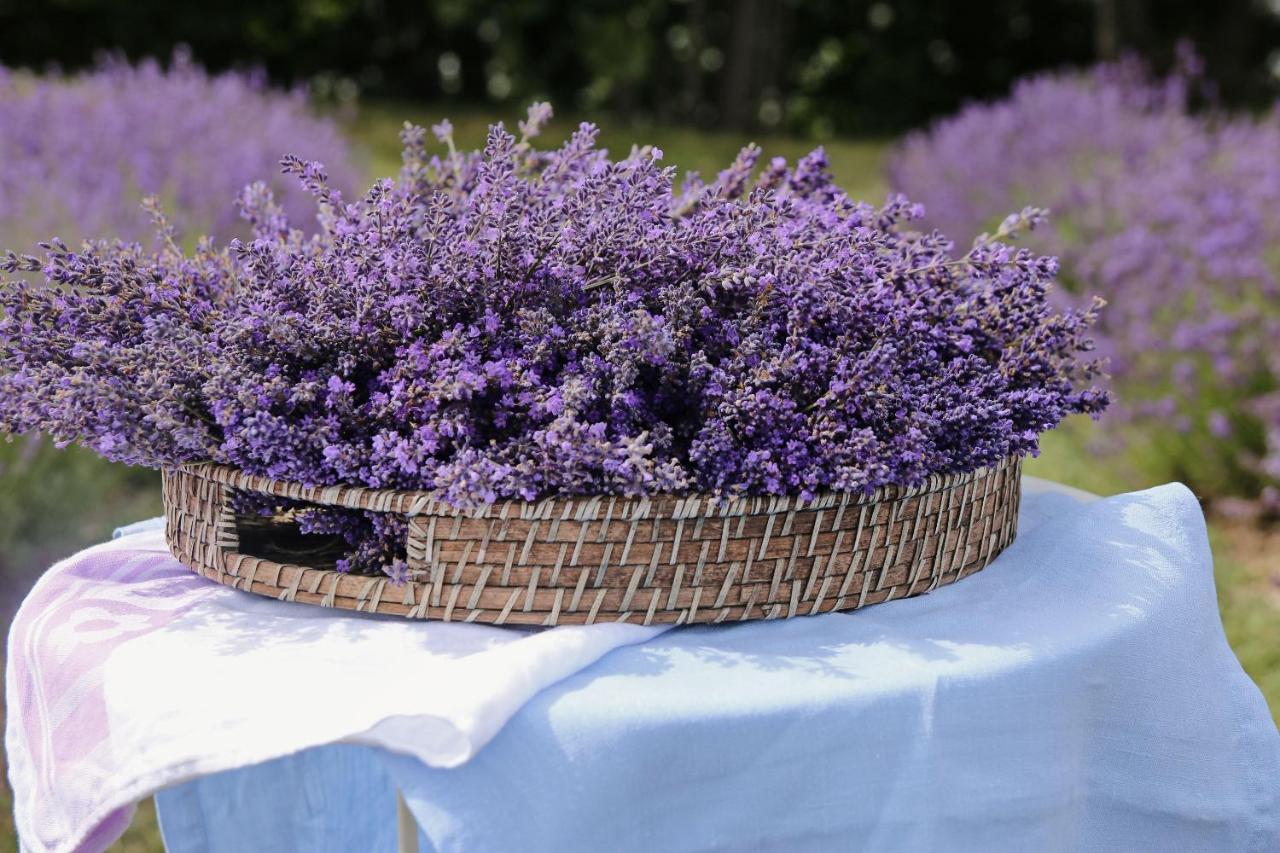 Lavender Village Kiemeliai Екстер'єр фото