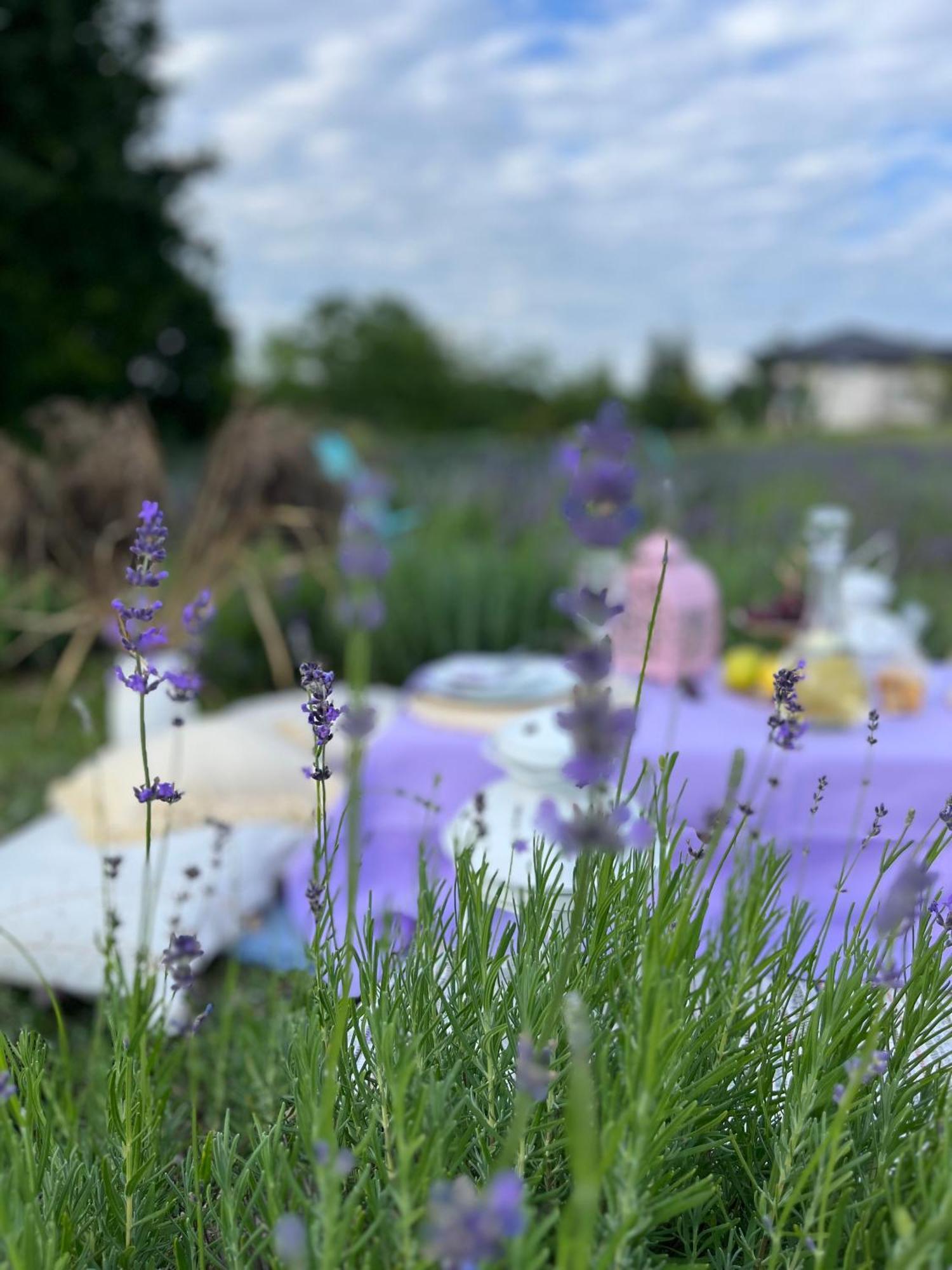 Lavender Village Kiemeliai Екстер'єр фото