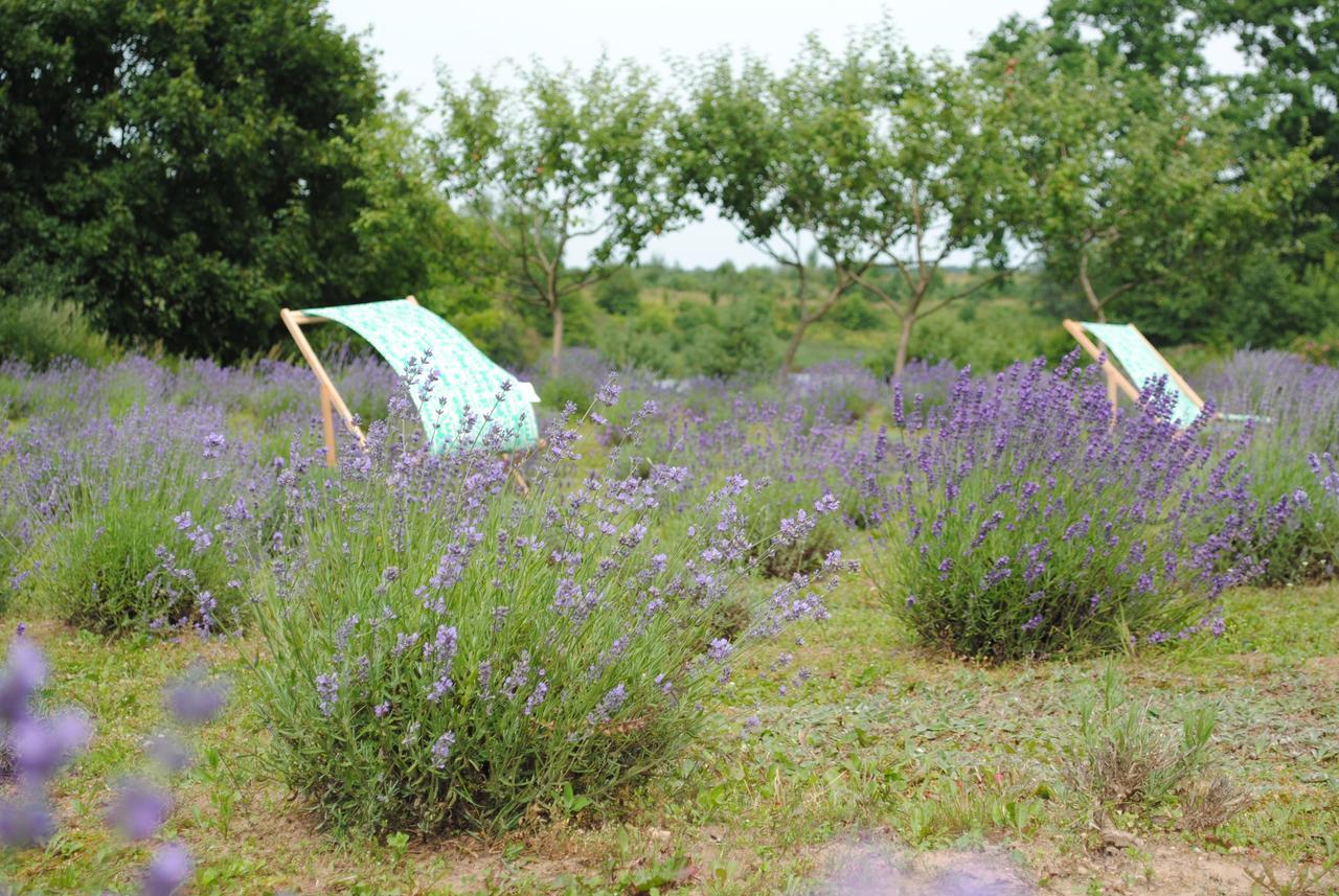 Lavender Village Kiemeliai Екстер'єр фото