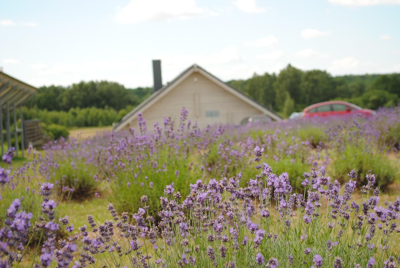 Lavender Village Kiemeliai Екстер'єр фото